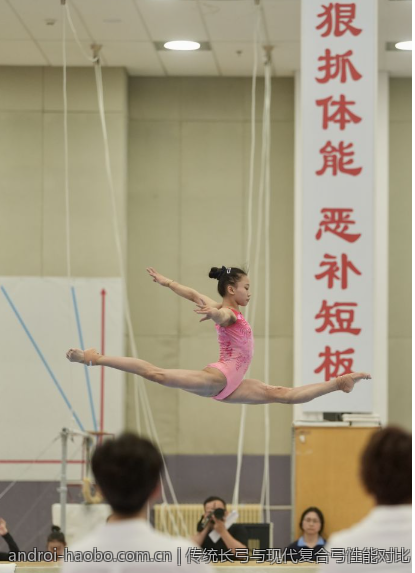传统长弓与现代复合弓性能对比